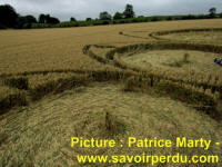 Avebury Stone Circle, Wiltshire crop circle, aerial photo 68